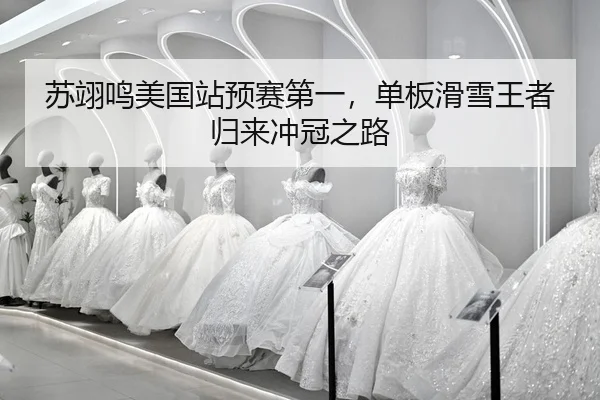 su-yi-ming-mei-guo-zhan-yu-sai-di-yi-dan-ban-hua-xue-wang-zhe-gui-lai-chong-guan-zhi-lu-2-220.jpg