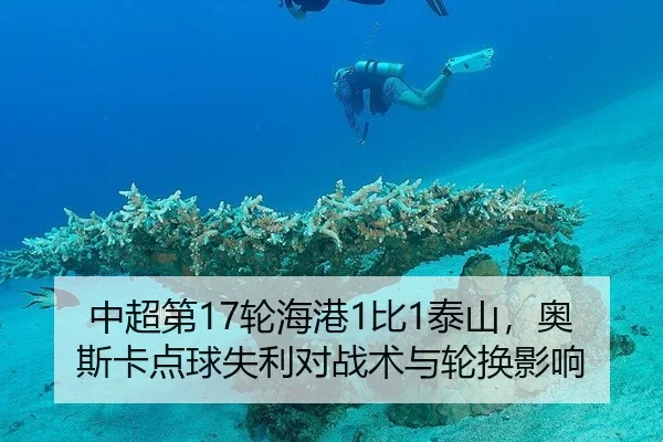 zhong-chao-di-lun-hai-gang-bi-tai-shan-ao-si-ka-dian-qiu-shi-li-dui-zhan-shu-yu-lun-huan-ying-xiang-3-978.jpg